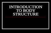 INTRODUCTION TO BODY STRUCTURE. BODY ORGANIZATION 1. The levels of organization of the body: cells- individual unit tissues- Similar cells that work together.
