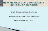 PhD Dissertation Defense Beverly Patchell, RN, MS, CNS September 27, 2011.