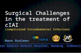 Surgical Challenges in the treatment of cIAI (complicated Intraabdominal Infection) Reno Rudiman Hasan Sadikin General Hospital, Bandung, Indonesia