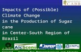 Impacts of (Possible) Climate Change in the Production of Sugar cane in Center-South Region of Brazil J.Zullo Jr, A.Koga-Vicente, V.R.Pereira Cepagri -