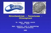 Mitochondrium – Peroxisome - Chloroplast outer membrane inner membrane crista matrix Dr. habil. Kőhidai László Assoc. Prof. Dept. Genetics, Cell & Immunobology.