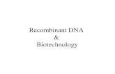 Recombinant DNA & Biotechnology. Recombinant DNA recombinant DNA molecules contain DNA from different organisms â€“any two DNAs are joined by DNA ligase
