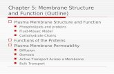 Chapter 5: Membrane Structure and Function (Outline) ï¯ Plasma Membrane Structure and Function Phospholipids and proteins Fluid-Mosaic Model Carbohydrate