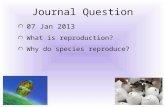 Journal Question 07 Jan 2013 What is reproduction? Why do species reproduce?