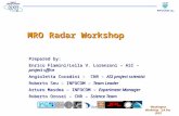 Washington Workshop 3,4 Dec 2001 MRO Radar Workshop Prepared by: Enrico Flamini/Leila V. Lorenzoni – ASI – project office Angioletta Coradini – CNR – ASI.