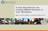A Five Step Process for Finding WMSD* Hazards in Your Workplace *Work-Related Musculo-Skeletal Disorders.