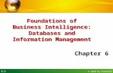 3.1 © 2010 by Prentice Hall Foundations of Business Intelligence: Databases and Information Management Chapter 6.