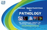 Career Opportunities in PATHOLOGY The Intersociety Council for Pathology Information, Inc.  Edited by Mark E. Sobel, MD, PhD Executive.