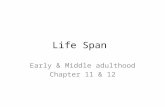 Life Span Early & Middle adulthood Chapter 11 & 12.