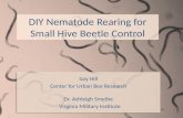 Nematodes 101 How to rear beneficial nematodes for SHB control How to apply them Nematodes 101 How to rear beneficial nematodes for SHB control How to