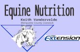 Keith Vandervelde Marquette County Livestock Specialist.