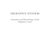 DIGESTIVE SYSTEM Anatomy and Physiology of the Digestive Tract