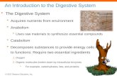 © 2012 Pearson Education, Inc. An Introduction to the Digestive System The Digestive System Acquires nutrients from environment Anabolism Uses raw materials.