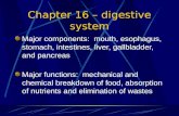 Chapter 16 – digestive system Major components: mouth, esophagus, stomach, intestines, liver, gallbladder, and pancreas Major functions: mechanical and.