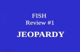 FISH Review #1 JEOPARDY S2C06 Jeopardy Review Vertebrates Bony Fish Anatomy Circulatory System Digestive System 100 200 300 400 500.