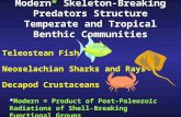 Modern* Skeleton-Breaking Predators Structure Temperate and Tropical Benthic Communities Teleostean Fish Neoselachian Sharks and Rays Decapod Crustaceans.
