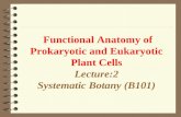Functional Anatomy of Prokaryotic and Eukaryotic Plant Cells Lecture:2 Systematic Botany (B101)