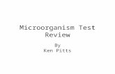 Microorganism Test Review By Ken Pitts. Bacteria were the first A.To be eukaryotic organisms B.organisms to appear in the fossil record C.To have mitochondria.