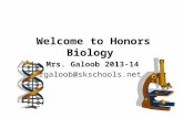 Welcome to Honors Biology Mrs. Galoob 2013-14 rgaloob@skschools.net.