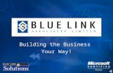 Building the Business Your Way!. Agenda Introduction to Blue Link Blue Link Solutions SQL - Overview What’s New?   International & USA Versions