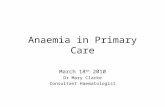 Anaemia in Primary Care March 18 th 2010 Dr Mary Clarke Consultant Haematologist