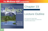 23-1 Chapter 23 Lecture Outline See PowerPoint Image Slides for all figures and tables pre-inserted into PowerPoint without notes.