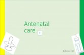 Antenatal care By Rebecca Smith Index What is antenatal care? Antenatal appointments Your first visit 10 facts about your baby! Ultrasound Scan pictures.