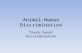 Animal-Human Discrimination Track-level Discrimination