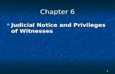 1 Chapter 6 Judicial Notice and Privileges of Witnesses Judicial Notice and Privileges of Witnesses.