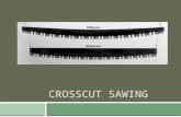 CROSSCUT SAWING. What is a crosscut saw?  A crosscut saw is a handsaw designed to cut across the grain of wood.  Different saws on east and west coast.