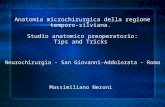 Anatomia microchirurgica della regione temporo-silviana. Studio anatomico preoperatorio: Tips and Tricks Neurochirurgia - San Giovanni-Addolorata - Roma.