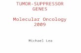 TUMOR-SUPPRESSOR GENES Molecular Oncology 2009 Michael Lea.