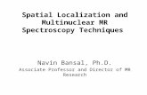 Spatial Localization and Multinuclear MR Spectroscopy Techniques Navin Bansal, Ph.D. Associate Professor and Director of MR Research.