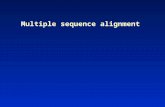 Multiple sequence alignment. Multiple sequence alignment: definition a collection of three or more protein (or nucleic acid) sequences that are partially.