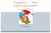 A WEBQUEST Pangaea – The Supercontinent. Do You Think the World Has Always Looked Like This?
