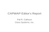 CAPWAP Editor’s Report Pat R. Calhoun Cisco Systems, Inc.