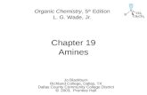 Chapter 19 Amines Jo Blackburn Richland College, Dallas, TX Dallas County Community College District  2003,  Prentice Hall Organic Chemistry, 5 th Edition.
