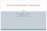 DR. DAWNE MARTIN MKTG 241 JANUARY 31, 2012 Environmental Analysis.
