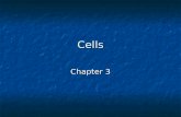 Cells Chapter 3. I. Overview I. Overview Cell Membrane Cell Membrane Cytoplasm Cytoplasm Cytosol Cytosol Organelles Organelles Nonmembranous: Cytoskeleton,