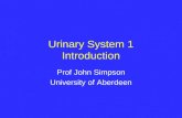Urinary System 1 Introduction Prof John Simpson University of Aberdeen.