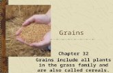 Grains Chapter 32 Grains include all plants in the grass family and are also called cereals.