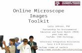 Online Microscope Images Toolkit Partnership for Environmental Education and Rural Health (PEER) peer.tamu.edu YouTube: VIBS Histology Veterinary Integrative.