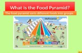 What is the Food Pyramid? The food pyramid sorts different foods into groups
