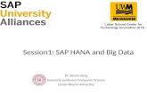 Session1: SAP HANA and Big Data Dr. Bjarne Berg Associate professor Computer Science Lenoir-Rhyne University.