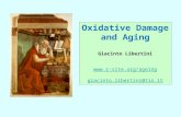 Oxidative Damage and Aging Giacinto Libertini  giacinto.libertini@tin.it.