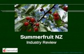 Confidential & Proprietary Copyright © 2010 The Nielsen Company Summerfruit NZ Industry Review.