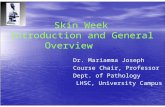 Skin Week Introduction and General Overview Dr. Mariamma Joseph Course Chair, Professor Dept. of Pathology LHSC, University Campus.