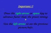 Right arrow space left arrow Important !! Press the right arrow or space key to advance faster than the preset timing. * Use the left arrow to see the.