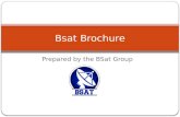 Prepared by the BSat Group Bsat Brochure. Feature Of BSat Systems: BSAT Group provides a full TV channel system, which has a set of software packages,