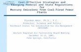 Cost-Effective Strategies and Emerging Federal and State Regulations for Mercury Emissions from Coal-Fired Power Plants Praveen Amar, Ph.D., P.E. Director,